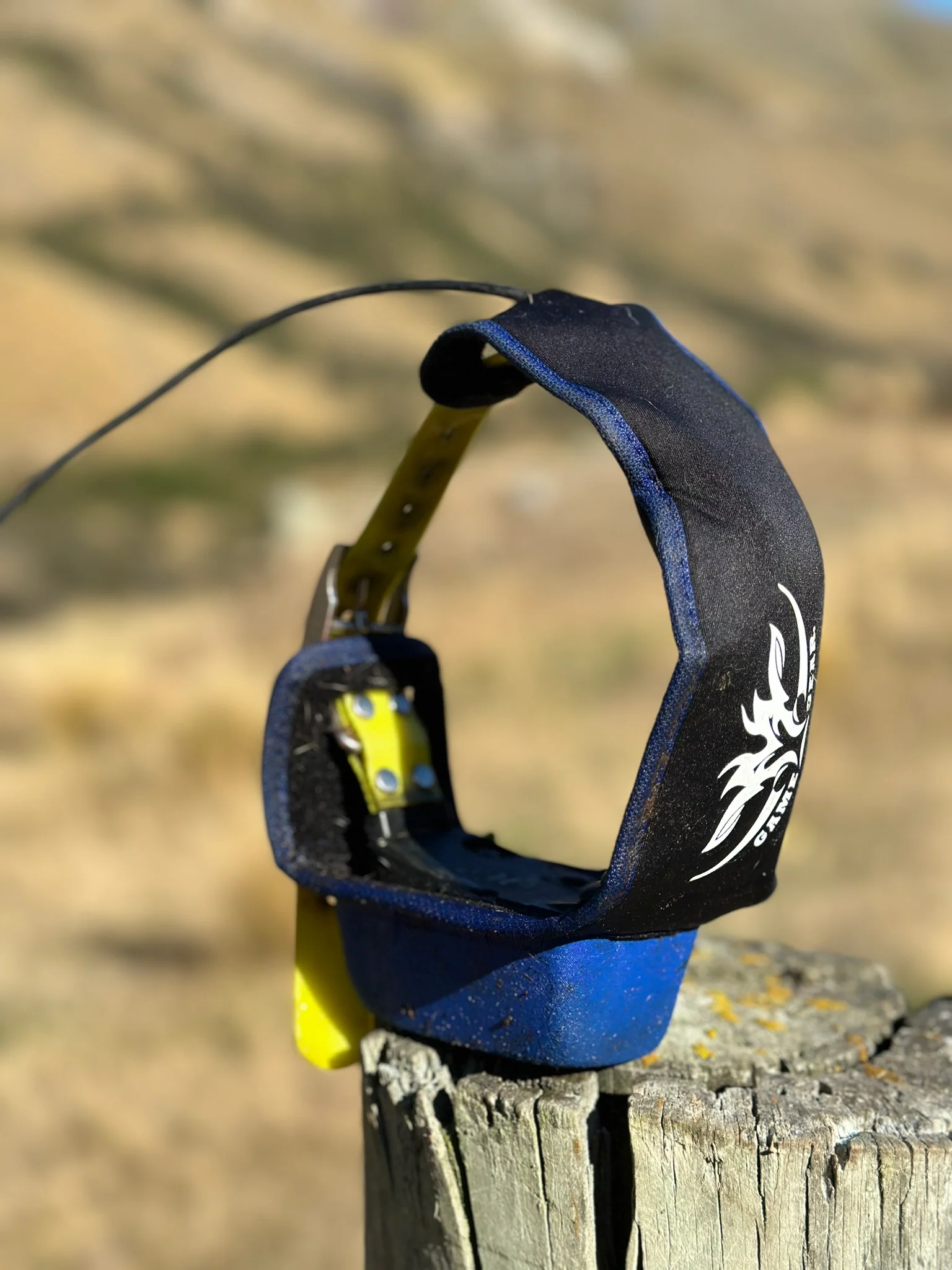 Collar Buddy - Image 4