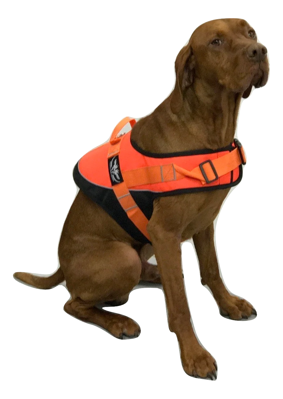 Dog Safety Vest - Image 3