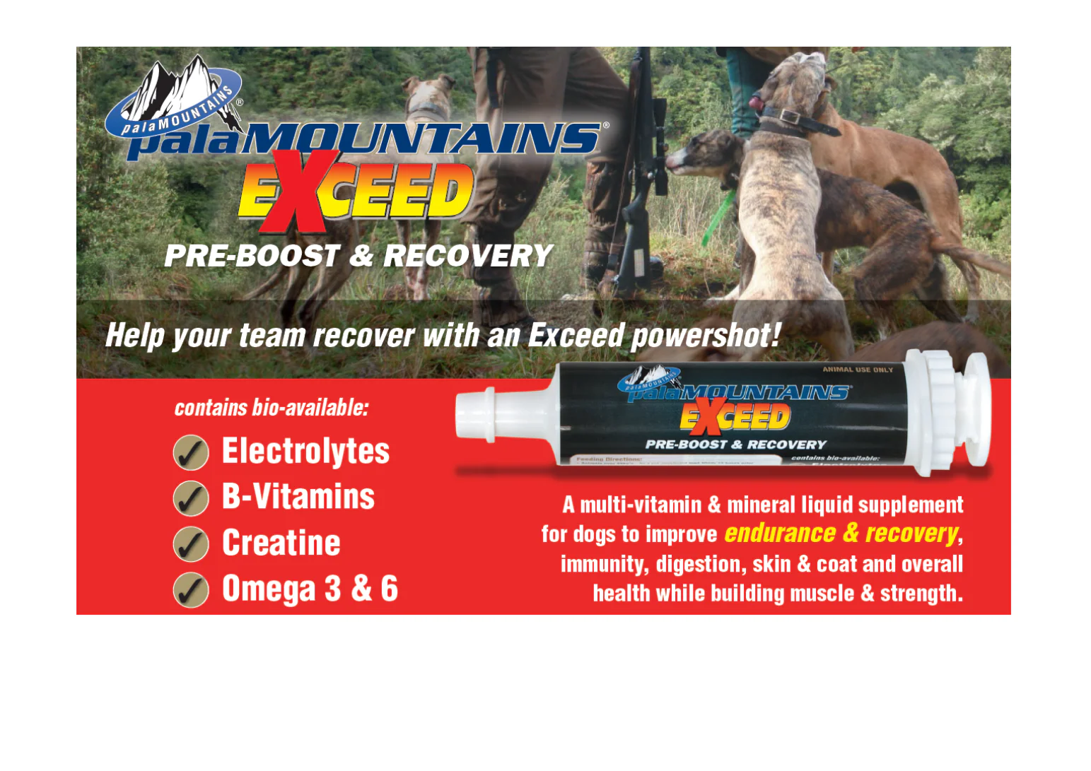 Exceed PreBoost and Recovery - Image 4