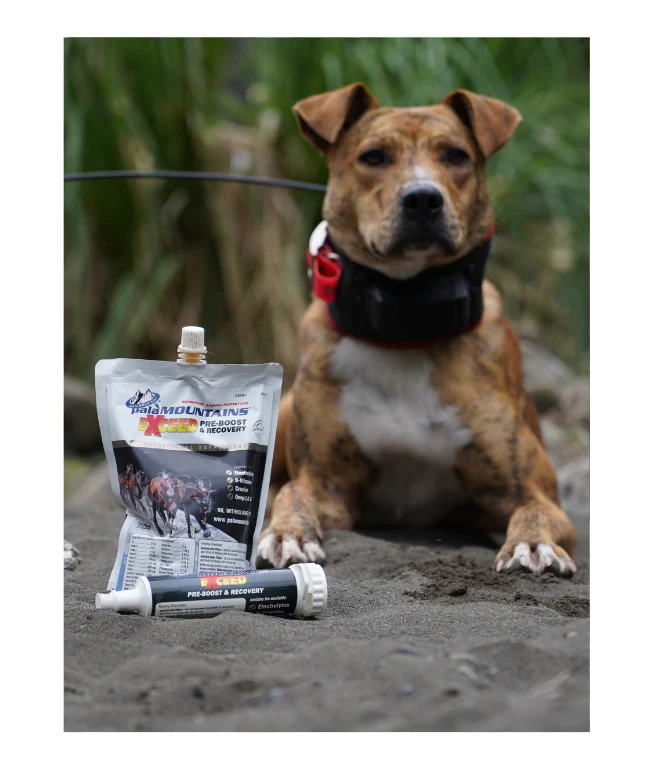 Exceed PreBoost and Recovery - Image 3