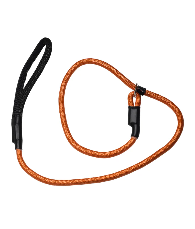 Nylon Rope Slip Leash - Image 4