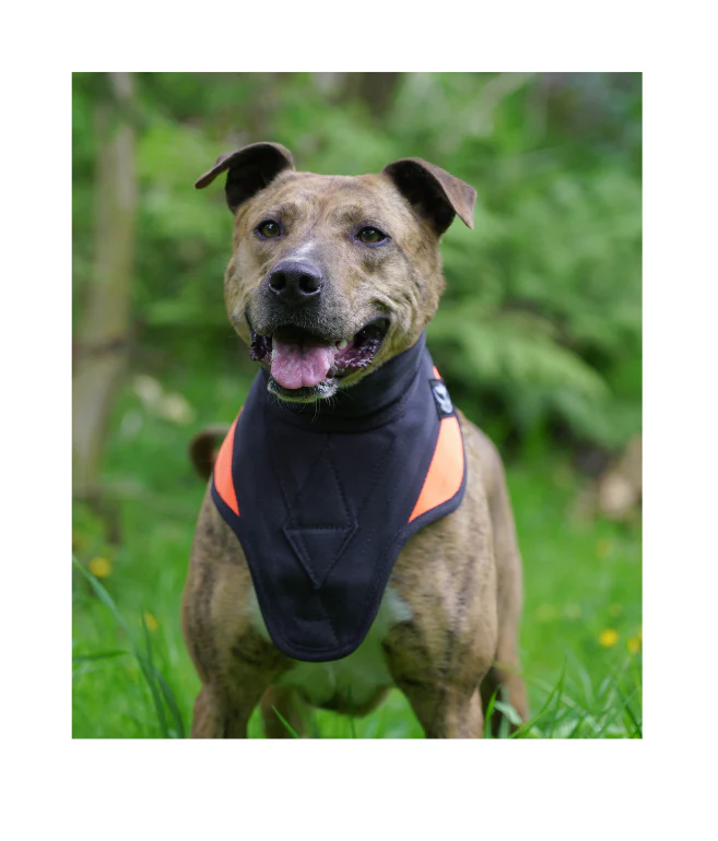 Strike Vest - Image 3