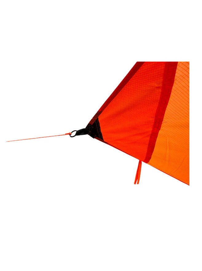 The Beast Fly - Image 2