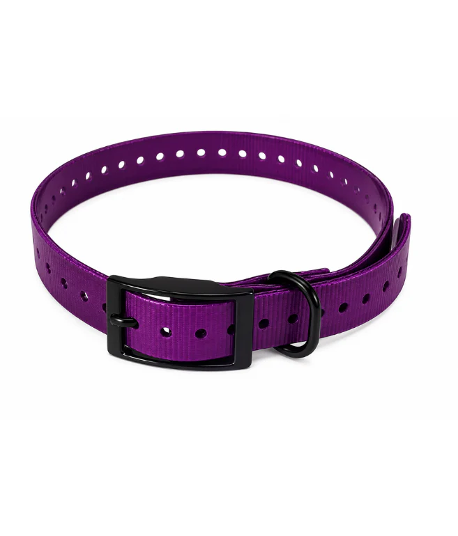 TPU Dog Collar - Image 10