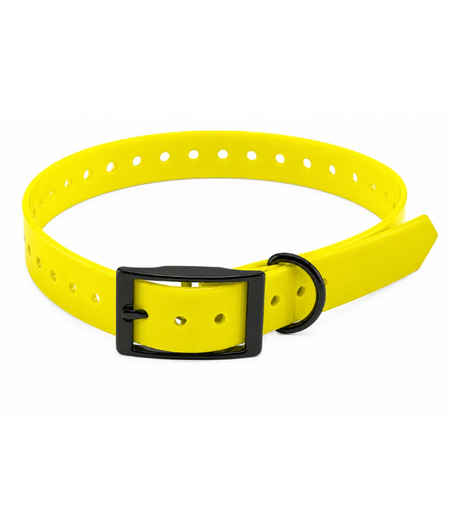 TPU Dog Collar - Image 5