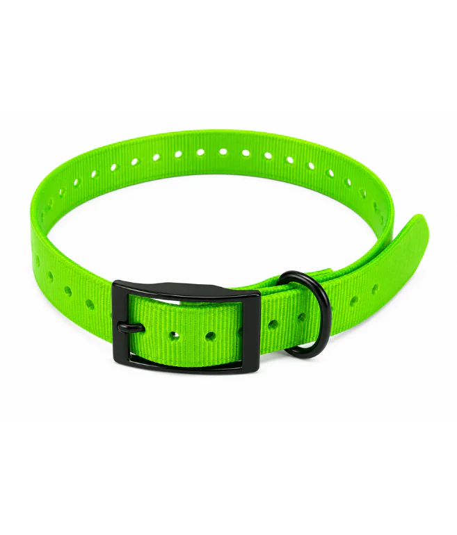 TPU Dog Collar - Image 6