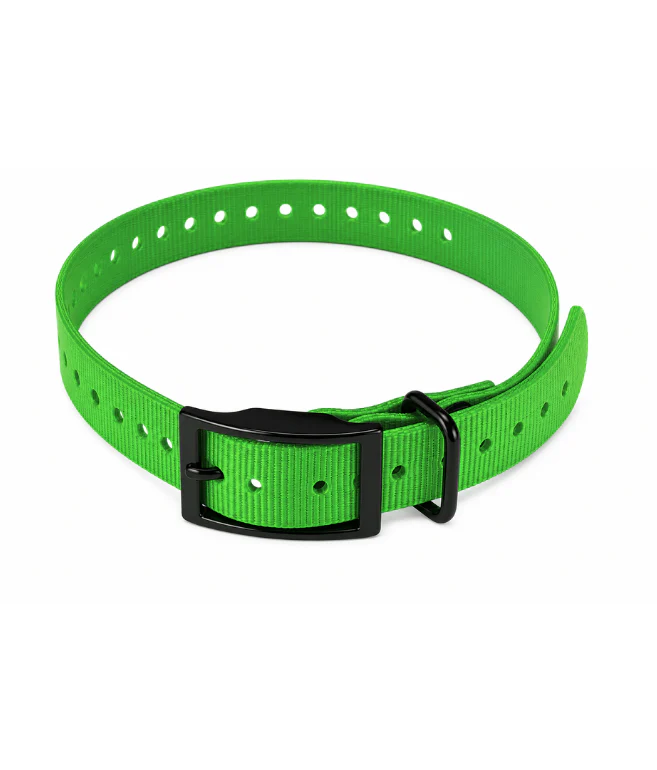 TPU Dog Collar - Image 7
