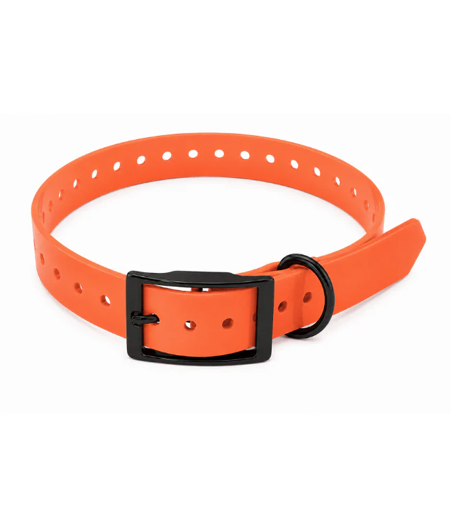 TPU Dog Collar - Image 8
