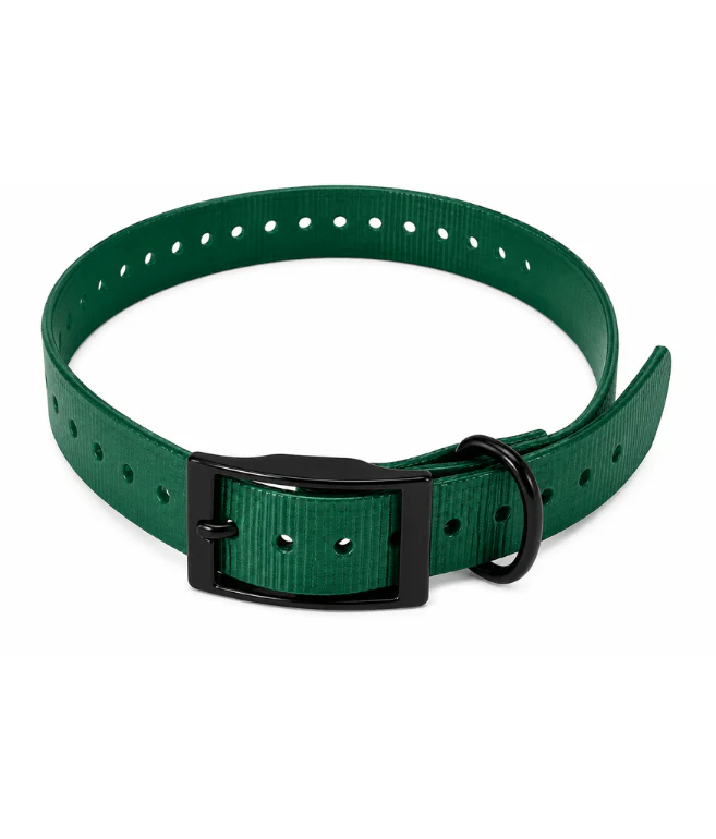 TPU Dog Collar - Image 9